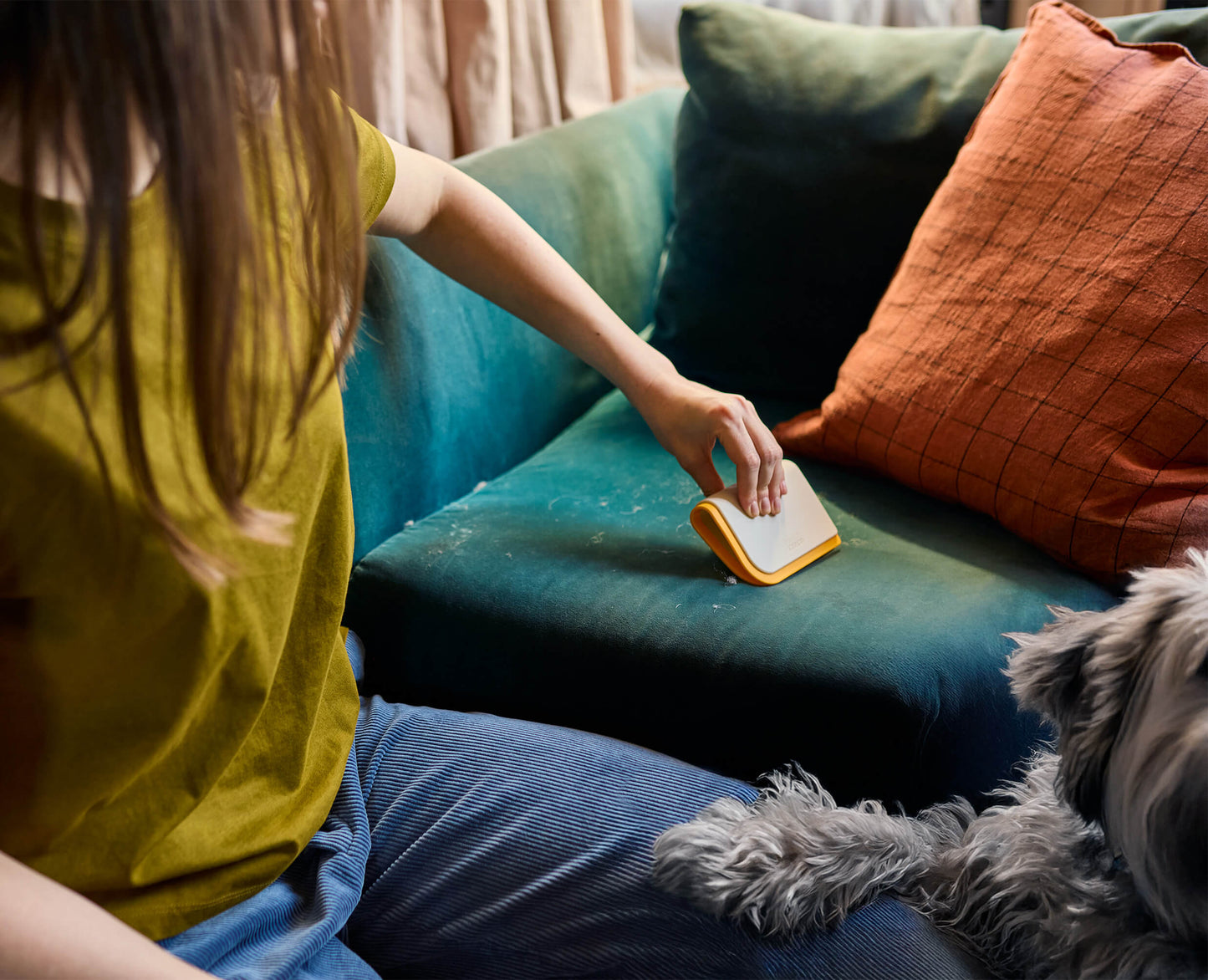 [hidden] [lifestyle] CleanTech™ 3-in-1 Pet Hair Cleaning Tool
